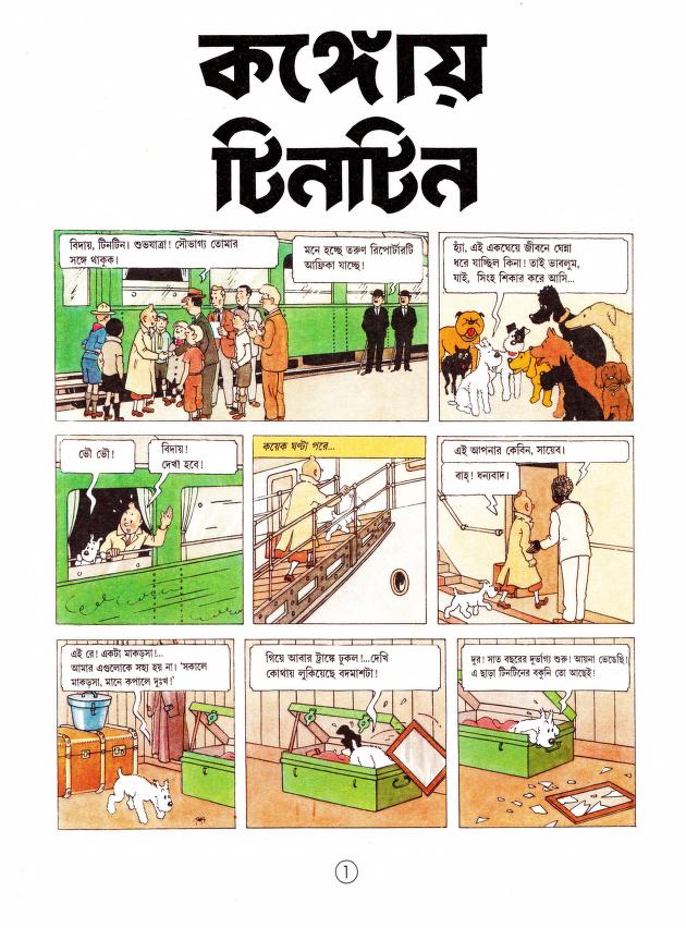 কঙ্গোয় টিনটিন image
