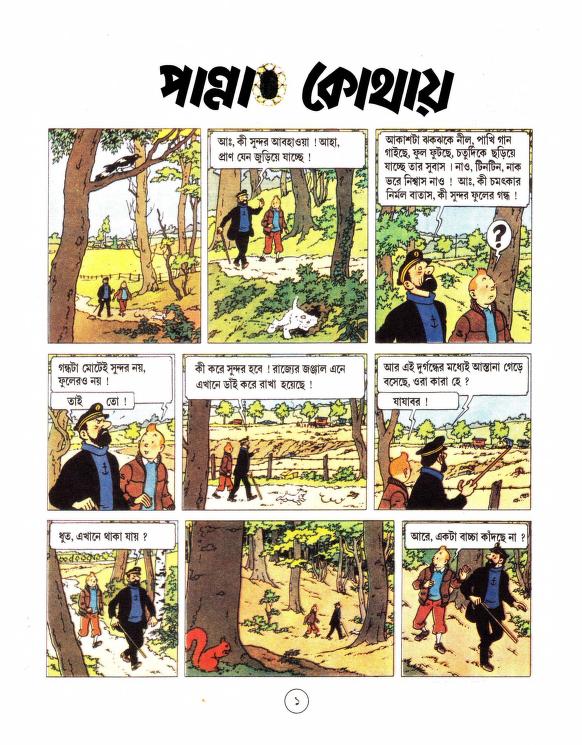 পান্না কোথায় image