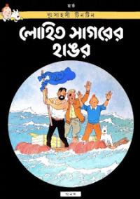 লোহিত সাগরের হাঙ্গর